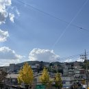 성북구립미술관 | 조각가의 사람들, 성북구립최만린미술관