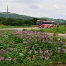 유연목장 이미지