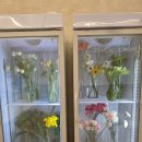 완산-159 | 전주플라워카페 '리엘더가든'