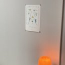 도마스시 이미지