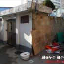 다도해사우나 Daum카페