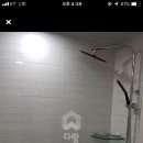 에코리사 이미지