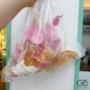 고아라 뷰티샵