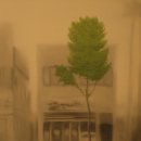 광양 포항 교류전 이미지