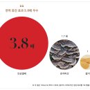 제너럴그래픽스 이미지