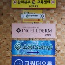 드림인셀덤 - 시흥시 비둘기공원4길 9 | 드림인셀덤