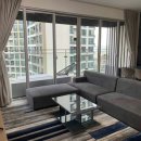 에스텔라 이미지