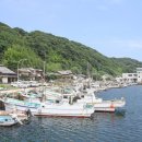 고양이 마을 이미지