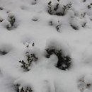 강서구민회관 이미지