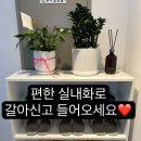 보며들다