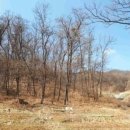 영산강대상공원2 이미지