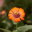 선비목욕탕 이미지