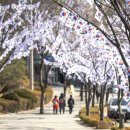 용산-105 이미지