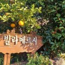빌라메르시 이미지