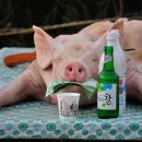 포토갤러리 이미지