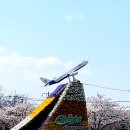 부산23산우회 낙동강 벗꽃/2025.04.06 이미지