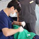 닥터조이