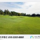 센스당구클럽 이미지