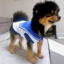 미소펫샵