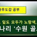 수원-1786 이미지