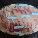 재송동횟집 해성회수산 대방어맛집