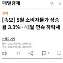 5월 소비자물가 상승률 3.3%...넉달 연속 하락세 이미지