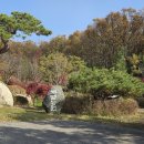 세영레포츠 네이버블로그