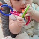 준우디자인 | 치발기 아기치발기 열탕소독 가능한, 아기고리장난감 키저스 제품 후기