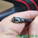 여주-0135 이미지