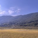 웅촌농협 하나로 마트 이미지