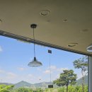 밀림식당 이미지