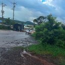 소초목장 | 제주도 쉬운 오름 _ 제주도 서쪽 일몰보기 좋은 곳 금오름 투어 후기, 주차 정보