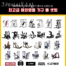 크레이지독스짐 이미지