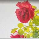 대부고등학교 이미지