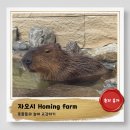 태연8289 풀 리조트 | 대만여행))동화속 농장같은 힐링스팟+카피바라랑 놀기_호밍팜방문기Homing farm