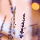 넘버25 동성로점 이미지