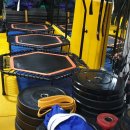 용인대 탑 유도체육관 이미지