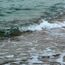 하얀파도 - 고흥군 거금일주로 1474 | 하얀파도