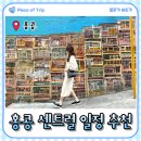 터미널관광나이트 | 마카오] 2일차: 홍콩 센트럴 일정/ 타이파 페리 터미널, 덩라우 벽화, 침차이키, 원딤섬, Market Place...