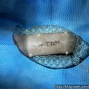 선부중앙동물의료센터 이미지