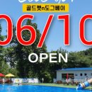 도그베이 이미지