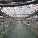 용리농장 이미지