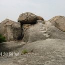 보화목장 Daum카페