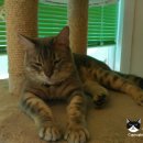 호텔 코코 이미지