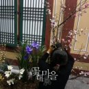 꽃내마을 이미지