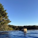 히든호텔 | 서귀포 숙소 | 한라산 뷰 가성비 5성급 "히든클리프 호텔" 후기