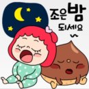 하이낚시