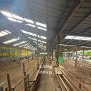 야곱 염소농장 이미지