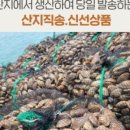오늘바다 이미지
