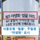 제주다움법인 이미지